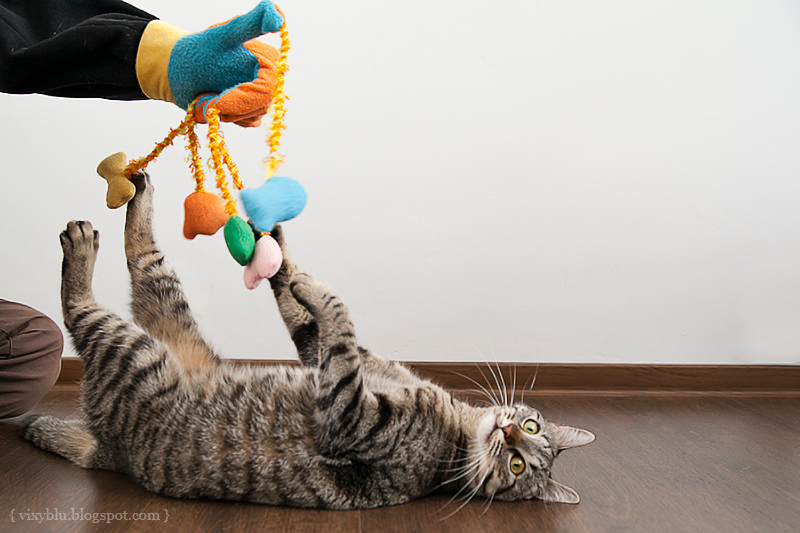 игрушка для кота, игрушка для кота своими руками
